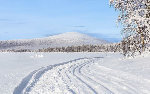 Lappi Dream House: Wood, Snow, Winter, Cottage, Freezing, Home, Log Cabin, Larch, Siding