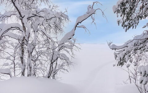 Lappi Dream House: Wood, Snow, Winter, Cottage, Freezing, Home, Log Cabin, Larch, Siding