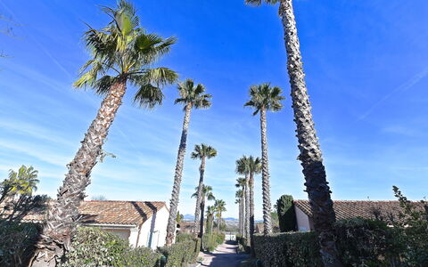 Roquebrune sur Argens 200: Sky, Blue, Vegetation, Woody Plant