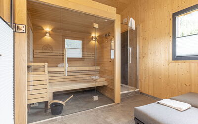 Premium #62 mit Sauna&Sprudelbad 20.7: Furniture, Building, Window, Comfort, Wood, Interior Design, Floor, Flooring, Shade, Living Room