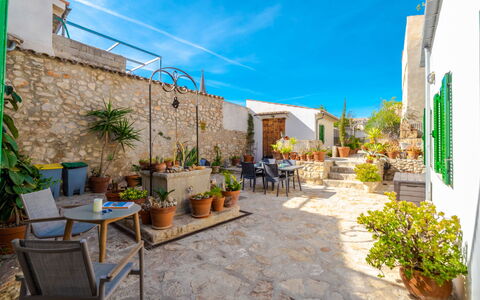 Can Canto: Plant, Sky, Property, Flowerpot, Green, Azure, Houseplant, Cloud, Road Surface, Chair