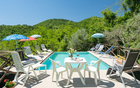 Il Castagneto: Sky, Furniture, Table, Plant, Umbrella, Chair, Outdoor Furniture, Swimming Pool, Outdoor Table, Shade