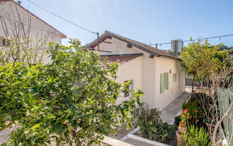 Mont des Oiseaux: Property, Real Estate, House, Vegetation, Residential Area, Neighbourhood, Tree, Plant, Home, Building