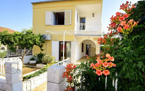 Lolita: Flower, Plant, Building, Sky, Window, Property, House, Door, Architecture, Vegetation