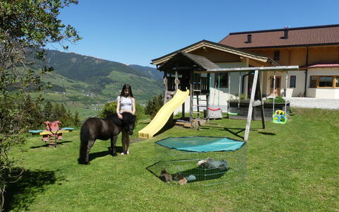 Umbichl: Property, Leisure, Mountain, Grass, Real Estate, Landscape, Mountain Range, House, Land Lot, Ranch