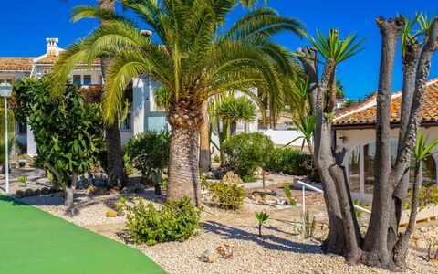 La Camarrocha: Property, Tree, Real Estate, Palm Tree, House, Estate, Home, Residential Area, Majorelle Blue, Building