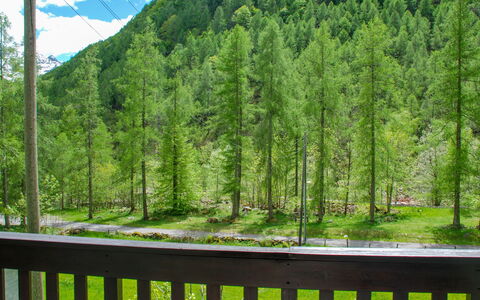Ai Casell: Nature, Natural Landscape, Tree, Green, Biome, Natural Environment, Hill Station, Nature Reserve, Wilderness, Fence