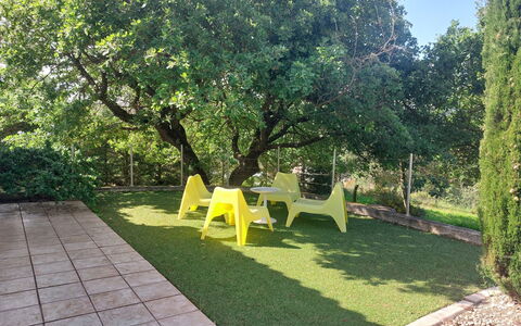 Bois D'Astros: Green, Leaf, Grass, Shrub, Garden, Lawn, Shade, Groundcover, Spring, Woody Plant