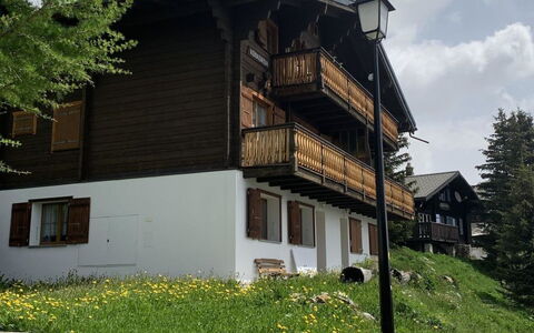 Konkordia 1 Eg Süd: Plant, Sky, Cloud, Building, Tree, Wood, Land Lot, Window, Residential Area, Leisure