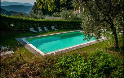 Orto degli Olivi Proprietà - Santa Maria Albiano, Tuscany, Italy