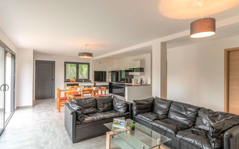 Paoli: Couch, Property, Furniture, Picture Frame, Table, Living Room, Lighting, Interior Design, Wood, Studio Couch