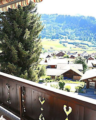 Rinderblick