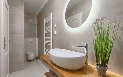 Villa Radovani: Mirror, Plant, Plumbing Fixture, Tap, Property, Bathtub, Building, Product, Bathroom, Bathroom Sink