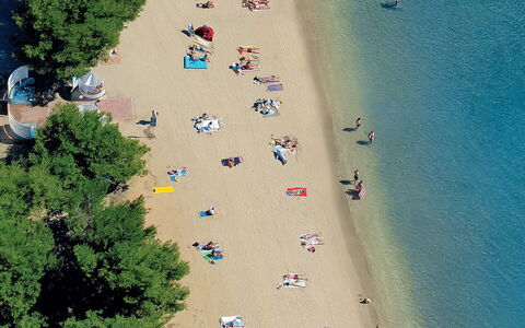Ivanka: Beach, Aerial Photography, Sand, Tree, Photography, World, Coast, Landscape, Coastal And Oceanic Landforms, Leisure