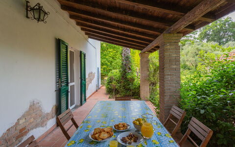 Fonte del Ceppo 1: Building, Property, Plant, Wood, Window, Interior Design, Lighting, Architecture, House, Floor