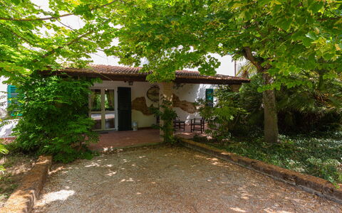 Fonte del Ceppo 1: Plant, Building, Property, Window, Tree, House, Shade, Vegetation, Land Lot