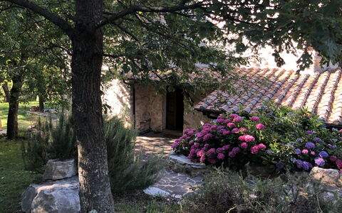 Beautiful Stone Country Villa: Tree, Wall, Plant, Spring, Flower, House, Botany, Garden, Shrub, Rural Area