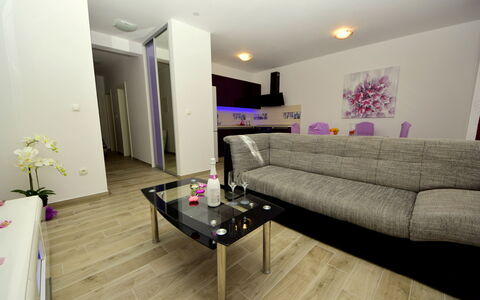 Marin: Room, Interior Design, Living Room, Property, Furniture, Purple, Floor, Violet, Building, Wall