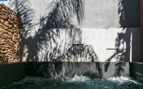 Sa Muralla: Water, Nature, Building, Grass, Tree, Rectangle, Wall, Woody Plant, Adaptation, Arecales