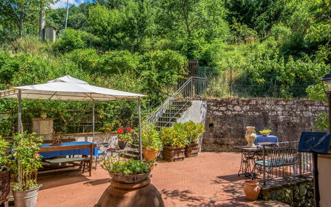 Il Mulinaccio: Property, Tree, Garden, Botany, Backyard, Real Estate, Plant, House, Landscape, Yard
