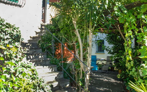 Verzaschina: Plant, Property, Window, Building, Door, Biome, Woody Plant, Shrub, Tree, Real Estate