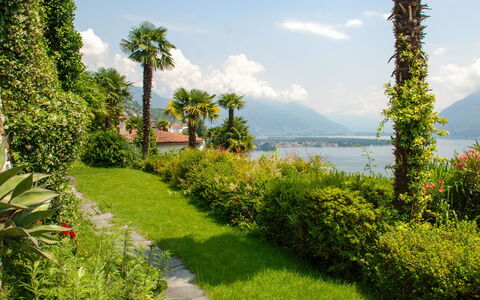 Panorama Lakeview Lago Maggiore: Vegetation, Nature, Natural Landscape, Property, Garden, Tree, Grass, Real Estate, Sky, Botany