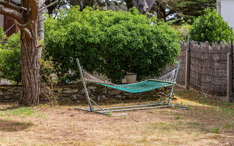 Ty Jeanne: Green, Tree, Grass, Yard, Plant, Woody Plant, Backyard, Swing, Garden, House