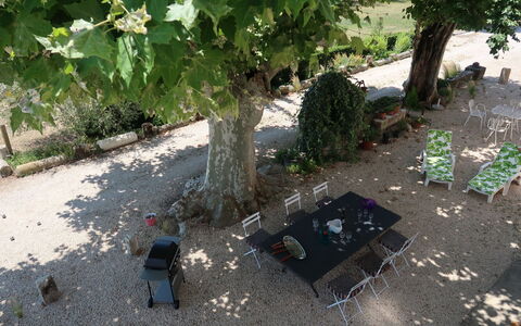 Mas de la Gourmette: Tree, Leaf, Plant, Botany, Garden, Grass, Yard, Adaptation, Landscape, Shrub