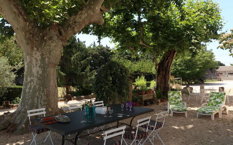 Mas de la Gourmette: Property, Tree, Table, Restaurant, Real Estate, Woody Plant, Backyard, Building, House, Yard