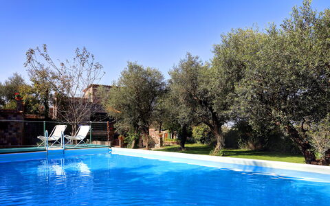 Stony Villa Volcano View: Water, Plant, Sky, Swimming Pool, Blue, Natural Landscape, Building, Tree, Landscape, Composite Material