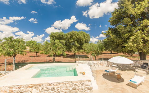 Trullo Del Pioppo Gigante: Cloud, Sky, Daytime, Property, Plant, Tree, Swimming Pool, Shade, Water, Land Lot
