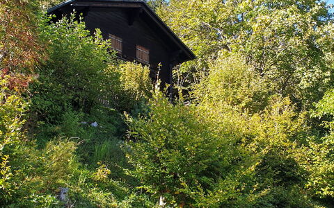 Henri: Sky, Property, Plant Community, Plant, Car, Vehicle, Motor Vehicle, Branch, House