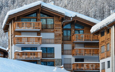 Dione: Snow, Building, Window, Wood, Slope, Tree, House, Cottage, Freezing, Biome