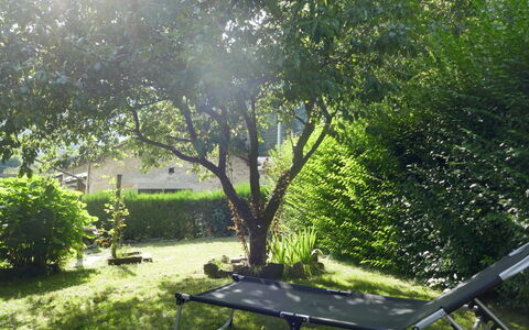 La Casina: Plant, Plant Community, Table, Shade, Tree, Botany, Natural Landscape, Vegetation, Outdoor Furniture, Outdoor Table