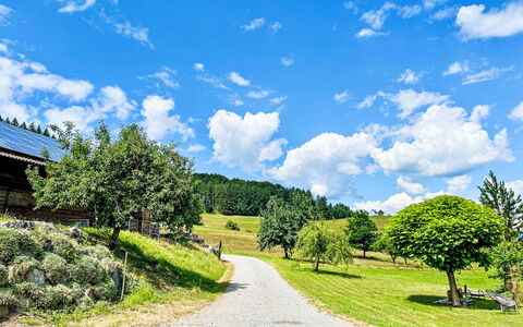 Hofstetten 650: Blue, Green, Grass, Nature, Natural Landscape, Cloud, Summer, Landscape, Shrub