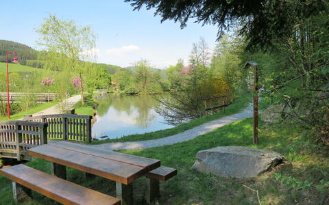Hofstetten 650: Sky, Property, Plant, Tree, Building, Land Lot, Slope, Shade, Asphalt, Wood