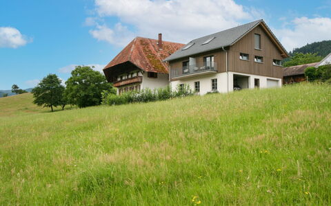 Hofstetten 650: Sky, Cloud, Plant, Property, Building, Tree, Natural Landscape, House, Land Lot, Grass