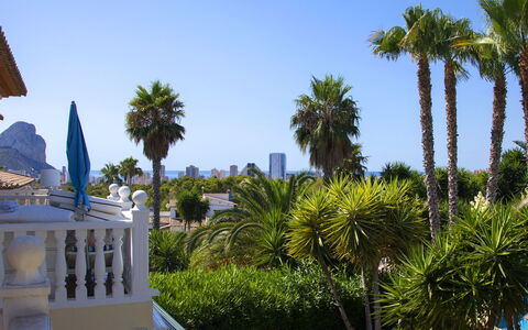 Calpe Calp 463: Tree, Vacation, Woody Plant, Leisure, Shade, Tropics, Eco Hotel, Resort