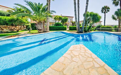 Calpe Calp 463