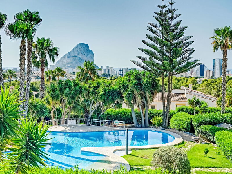 Calpe Calp 463