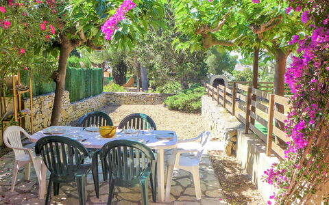 Gruissan 310: Flower, Plant, Furniture, Table, Property, Chair, Botany, Nature, Leaf, Outdoor Table