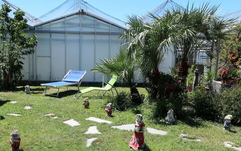 Ca' Du Né: Grass, Tree, Botany, Garden, Yard, Land Lot, Adaptation, House, Plant, Rural Area