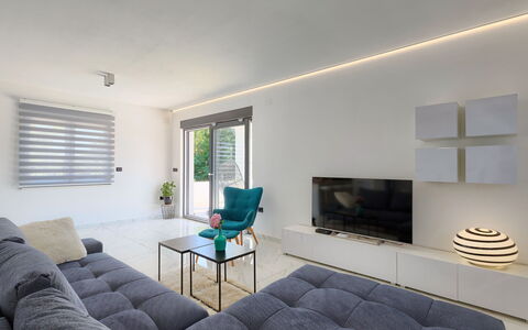 Vine: Couch, Property, Furniture, Table, Window Blind, Comfort, Azure, Window, Lighting, Wood
