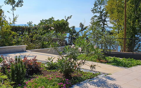Natali: Garden, Vegetation, Property, Tree, Daytime, Real Estate, Residential Area, Botany, Plant, Public Space