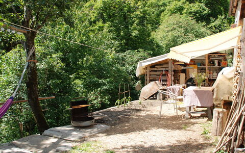 Rustico Rudico: Property, Tree, House, Jungle, Home, Leisure, Rural Area, Adaptation, Landscape, Plant