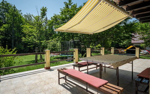 Legendao: Plant, Property, Table, Tree, Shade, Outdoor Furniture, Outdoor Bench, Wood, Sky, Grass