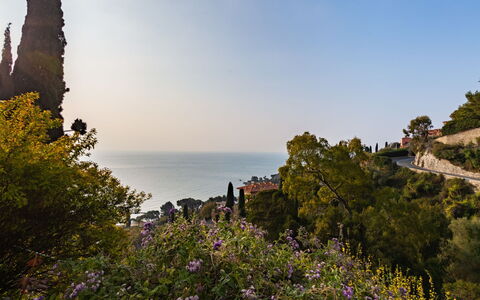 Margherita: Building, Plant, Property, Window, Land Lot, Urban Design, Landscape, Neighbourhood, Grass, Leisure
