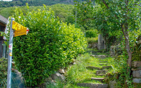Rustico Ca' Di Garoi: Vegetation, Nature Reserve, Tree, Plant, Botany, Biome, Flower, Trail, Leaf, Garden