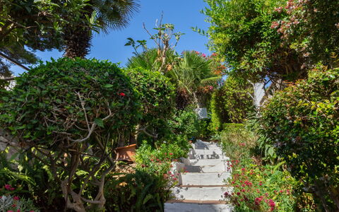 La Dorada: Vegetation, Garden, Property, Botanical Garden, Tree, Botany, Sky, Real Estate, Walkway, Plant