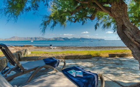 Sa Marina: Tree, Shore, Sky, Vacation, Beach, Sea, Tropics, Ocean, Coast, Bay